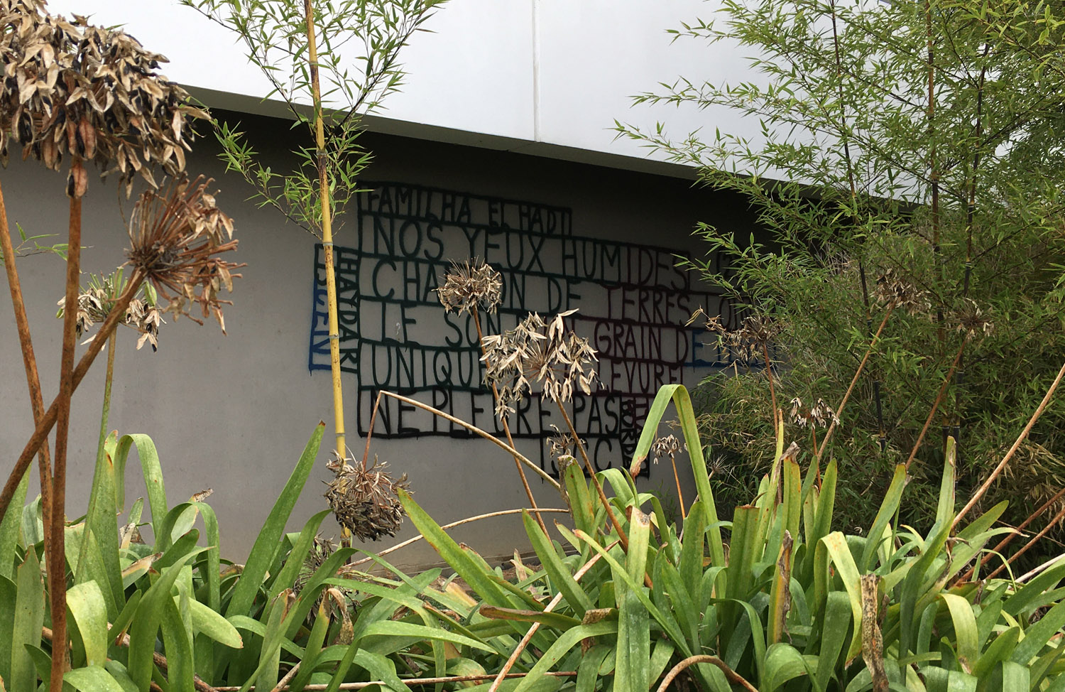 Jean Charles Couderc _ Joan Carles Codèrc _ Points de vue _ Festival _ peinture _ pintura _ Mural _ Paretalisma _ Muralismo _ Baiona _ Bayonne _ Occitània _ Euskal Herria _ création contemporaine _ cultura viva _ Gasconha